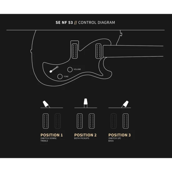 PRS SE NF53 Black Doghair