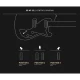 PRS SE NF53 Black Doghair