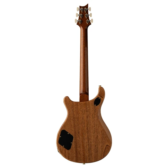 PRS McCarty 594 Aurora Borealis