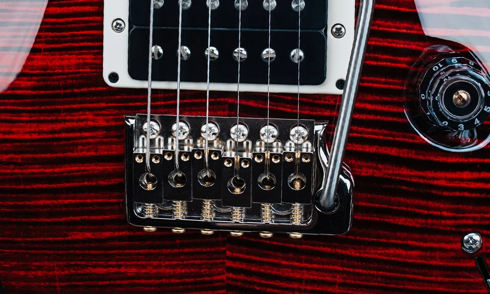 PRS Gen III tremoló a Custom 24 Birds of a Feather Limited Edition gitáron